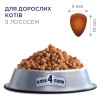 Сухий корм для котів Club 4 Paws Premium 300 г (лосось)