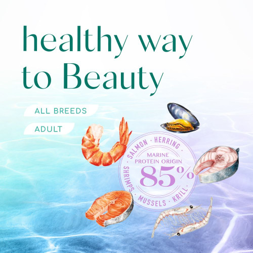 Сухий корм для котів Optimeal Beauty Harmony із заспокійливим ефектом 1,5 кг (морепродукти)