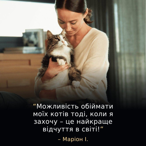 Сухий корм для котів Pro Plan LiveClear Sterilised 7+ 1,4 кг — індичка
