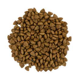 Сухий корм для котів Savory Adult Cat Sensitive Digestion Fresh 2 кг - ягня та індичка