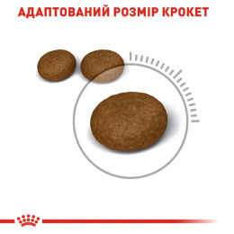 Сухий корм для котів Royal Canin Hair & Skin 2 кг + 400 г - домашня птиця