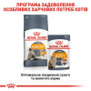 Сухий корм для котів, шерсть яких вимагає додаткового догляду Royal Canin Hair & Skin 2 кг (домашня птиця)