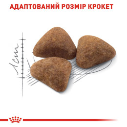 Сухий корм для котів Royal Canin Indoor 27, 4 кг - домашня птиця