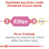 Сухий корм для кошенят породи британська короткошерста Royal Canin Kitten British Shorthair 2 кг + 400 г у ПОДАРУНОК ​​(домашня птиця)