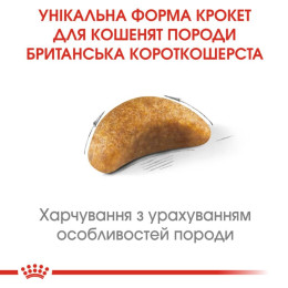 Сухий корм для кошенят породи британська короткошерста Royal Canin Kitten British Shorthair 2 кг (домашня птиця)