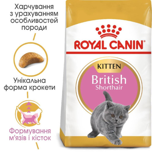 Сухий корм для кошенят породи британська короткошерста Royal Canin Kitten British Shorthair 2 кг (домашня птиця)