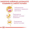 Сухий корм для кошенят породи мейн-кун Royal Canin Kitten Maine Coon 2 кг (домашня птиця)