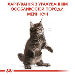 Сухий корм для кошенят породи мейн-кун Royal Canin Kitten Maine Coon 2 кг (домашня птиця)