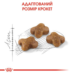 Сухий корм для кошенят Royal Canin Kitten 2 кг + 400 г - домашня птиця