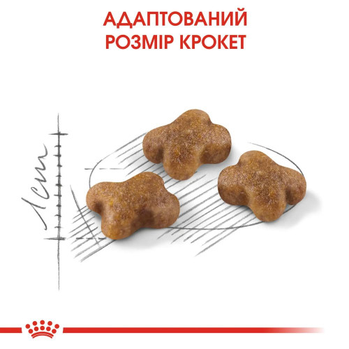 Сухий корм для кошенят Royal Canin Kitten 2 кг + 400 г - домашня птиця