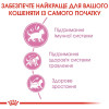 Сухий корм для кошенят Royal Canin Kitten 2 кг + 400 г - домашня птиця