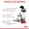 Сухий корм для кошенят Royal Canin Mother & Babycat 2 кг (домашня птиця)