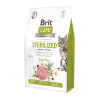 Сухий корм для котів Brit Care Cat Grain Free Sterilized Immunity Support 2 кг - свинина