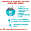Сухий корм для котів Royal Canin Urinary Care 8+2 кг - домашня птиця