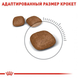 Сухий корм для котів Royal Canin Urinary Care 8+2 кг - домашня птиця