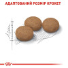 Сухий корм для літніх стерилізованих котів Royal Canin Sterilised Ageing 12+, 2 кг (домашня птиця)
