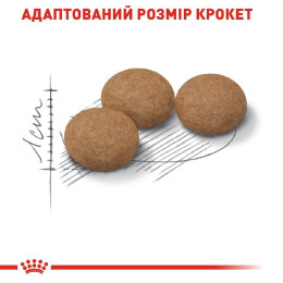 Сухий корм для літніх стерилізованих котів Royal Canin Sterilised Ageing 12+, 2 кг (домашня птиця)