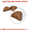 Сухий корм для котів Royal Canin Hairball Care 2 кг + 400 г - домашня птиця