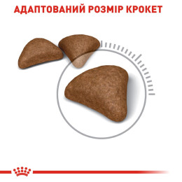Сухий корм для виведення шерсті у котів Royal Canin Hairball Care 2 кг (домашня птиця)