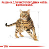 Сухий корм для дорослих котів бенгальської породи Royal Canin Bengal Adult 2 кг (домашня птиця)