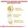 Сухий корм для дорослих котів бенгальської породи Royal Canin Bengal Adult 2 кг (домашня птиця)