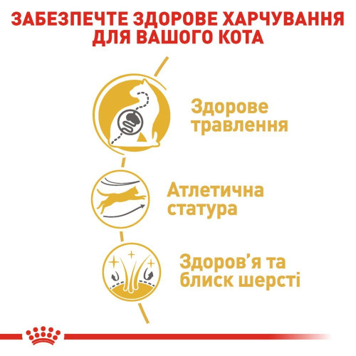 Сухий корм для дорослих котів бенгальської породи Royal Canin Bengal Adult 2 кг (домашня птиця)