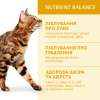 Сухий корм для дорослих котів Optimeal Adult Cat Chicken 200 г (курка)