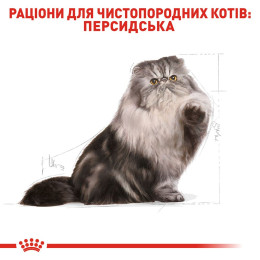 Сухий корм для дорослих котів перської породи Royal Canin Persian Adult 2 кг (домашня птиця)