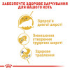 Сухий корм для дорослих котів перської породи Royal Canin Persian Adult 2 кг (домашня птиця)