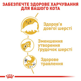 Сухий корм для дорослих котів перської породи Royal Canin Persian Adult 2 кг (домашня птиця)