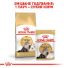 Сухий корм для дорослих котів перської породи Royal Canin Persian Adult 2 кг (домашня птиця)