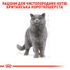 Сухий корм для дорослих котів породи британська короткошерста Royal Canin British Shorthair Adult 2 кг (домашня птиця)