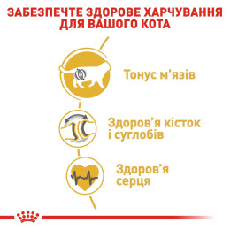 Сухий корм для дорослих котів породи британська короткошерста Royal Canin British Shorthair Adult 4 кг (домашня птиця)
