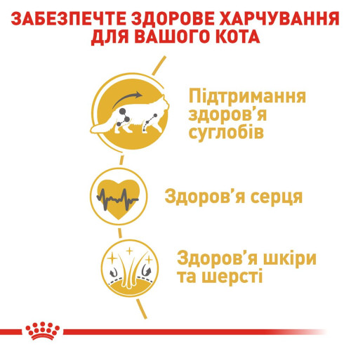 Сухий корм для дорослих котів породи мейн-кун Royal Canin Maine Coon Adult 4 кг (домашня птиця)
