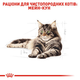 Сухий корм для дорослих котів породи мейн-кун Royal Canin Maine Coon Adult 4 кг (домашня птиця)
