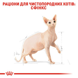 Сухий корм для дорослих котів породи сфінкс Royal Canin Sphynx Adult 2 кг (домашня птиця)