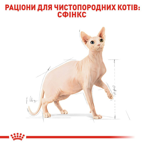 Сухий корм для дорослих котів породи сфінкс Royal Canin Sphynx Adult 2 кг (домашня птиця)