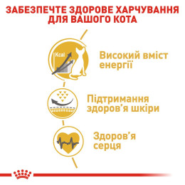 Сухий корм для дорослих котів породи сфінкс Royal Canin Sphynx Adult 2 кг (домашня птиця)