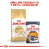 Сухий корм для дорослих котів породи сфінкс Royal Canin Sphynx Adult 400 г (домашня птиця)