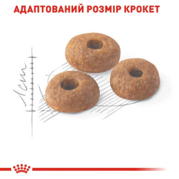 Сухий корм для Royal Canin Fit 32, 2 кг + 400 г - домашня птиця