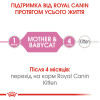 Вологий корм для кошенят Royal Canin Mother & Babycat 195 г (домашня птиця)