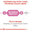 Вологий корм для кошенят Royal Canin Mother & Babycat 195 г (домашня птиця)