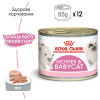 Вологий корм для кошенят Royal Canin Mother & Babycat 195 г (домашня птиця)