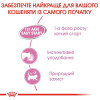 Вологий корм для кошенят Royal Canin Mother & Babycat 195 г (домашня птиця)