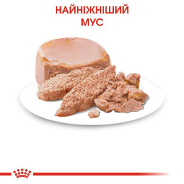Вологий корм для кошенят Royal Canin Mother & Babycat 195 г (домашня птиця)