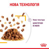 Вологий корм для вибагливих котів Royal Sensory Taste pouch в желе 85 г