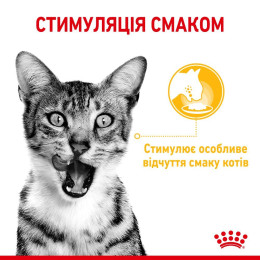 Вологий корм для вибагливих котів Royal Sensory Taste pouch в желе 85 г