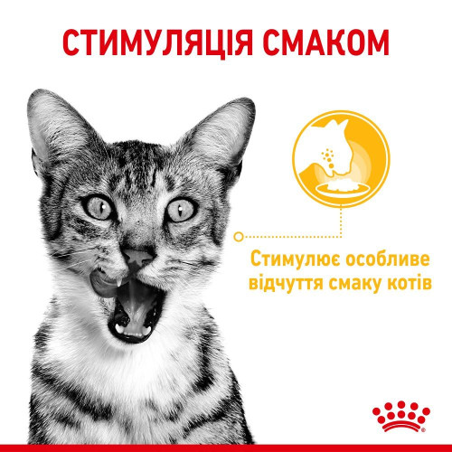 Вологий корм для вибагливих котів Royal Sensory Taste pouch в желе 85 г