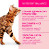 Вологий корм для дорослих котів Optimeal 85 г (телятина)