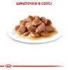 Вологий корм для котів Royal Canin Ageing 12+, 85 г - домашня птиця